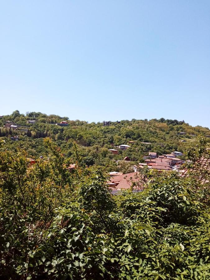 فندق Kizikis Kari سينغناغي المظهر الخارجي الصورة
