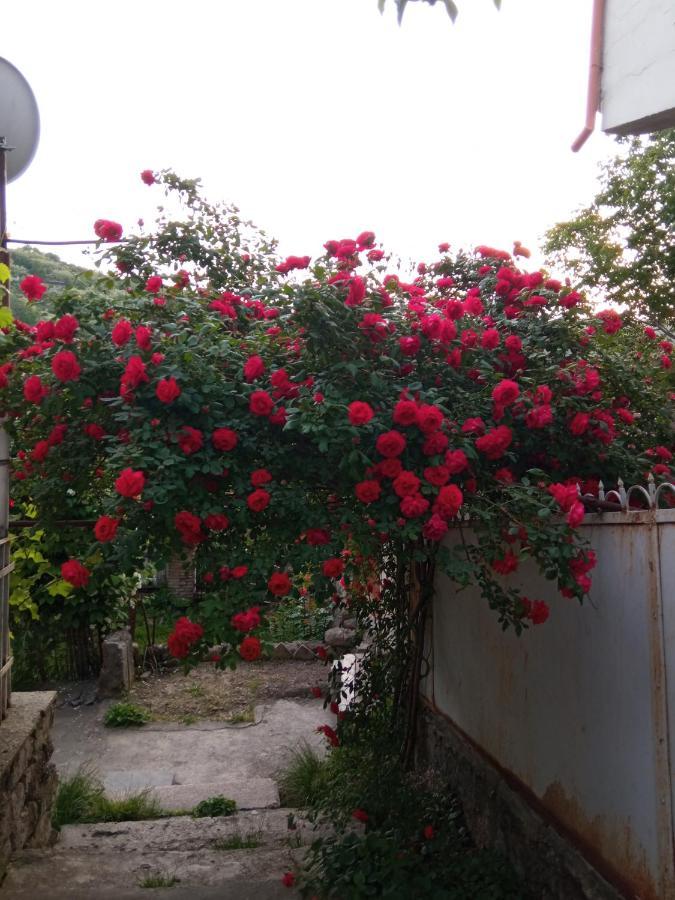فندق Kizikis Kari سينغناغي المظهر الخارجي الصورة
