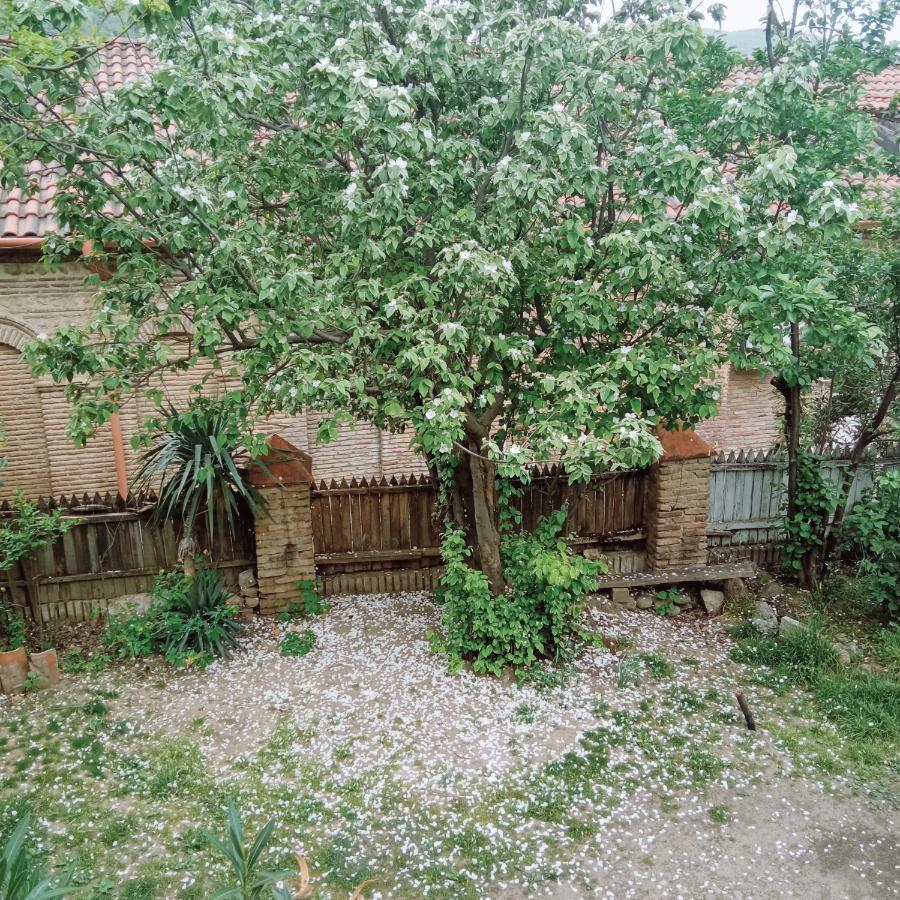 فندق Kizikis Kari سينغناغي المظهر الخارجي الصورة